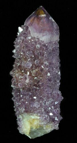 Cactus Quartz (Amethyst) Crystal - South Africa #64231